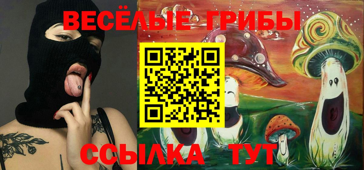 Псилоцибиновые грибы прущие грибы Нефтекумск