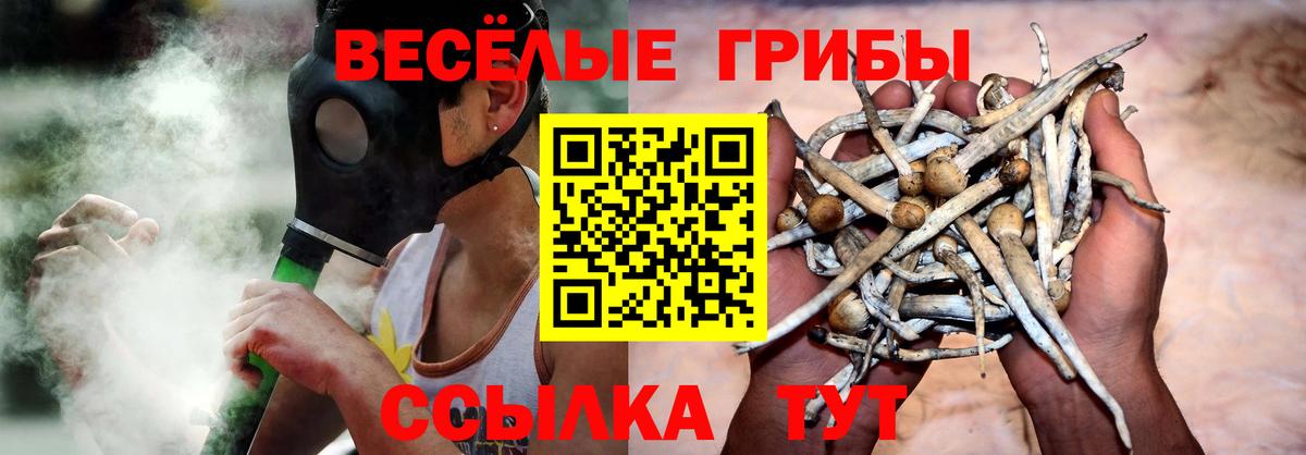 А ПВП Нефтекумск