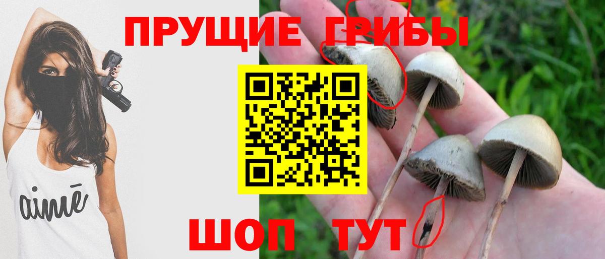 Нефтекумск  цены наркотик  Вход с VPN  Псилоцибиновые грибы прущие грибы 